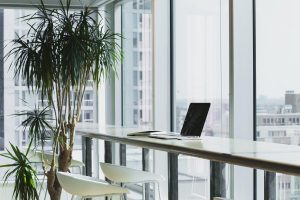 business office plants