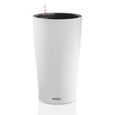 CILINDRO-Color-32-white