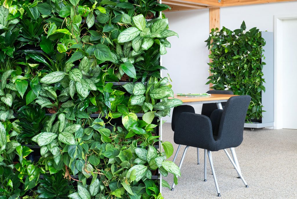 living wall room divider