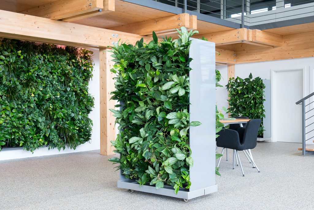 living wall room divider