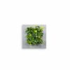 Mobilane_LivePicture_1_Silver_Front_LR living picture frame 1 silver