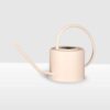 cream-watering-can beige watering can houseplants indoor