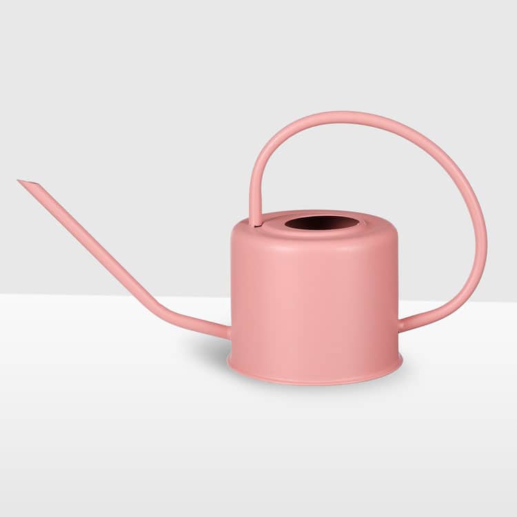 pink-watering-can pink watering can houseplants indoor