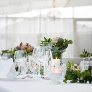rent plants for an event