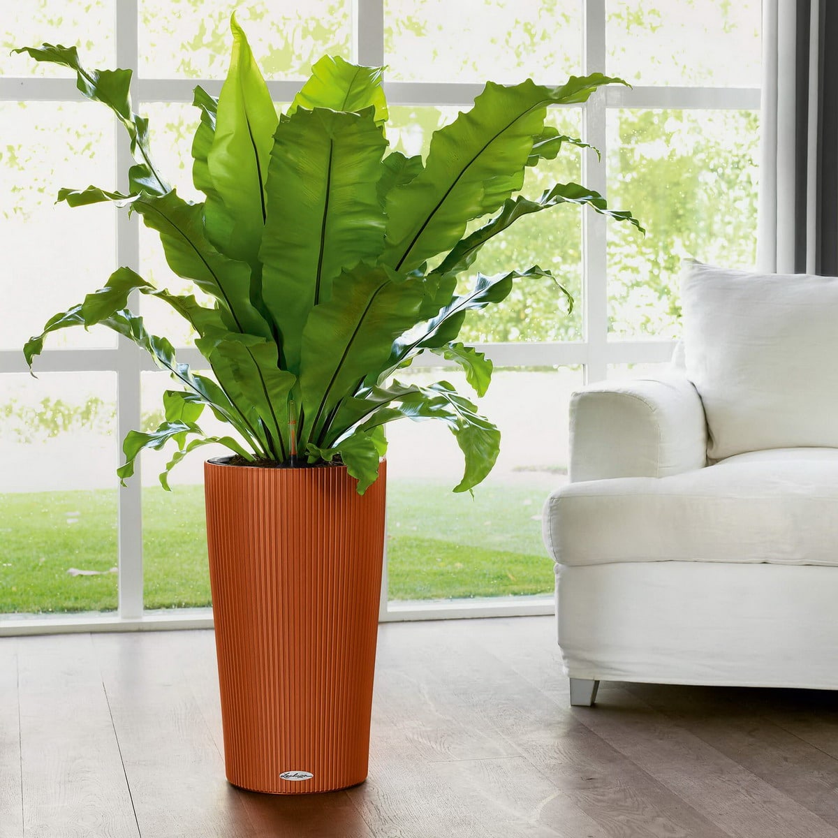 CILINDRO Color 23 white_4