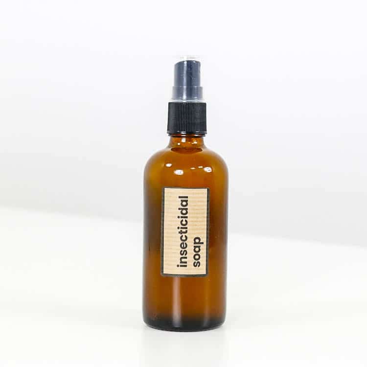 Insecticidal Soap Spray 3 Insecticidal Soap Spray