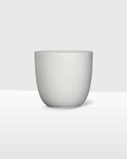 white matte ceramic plant pot