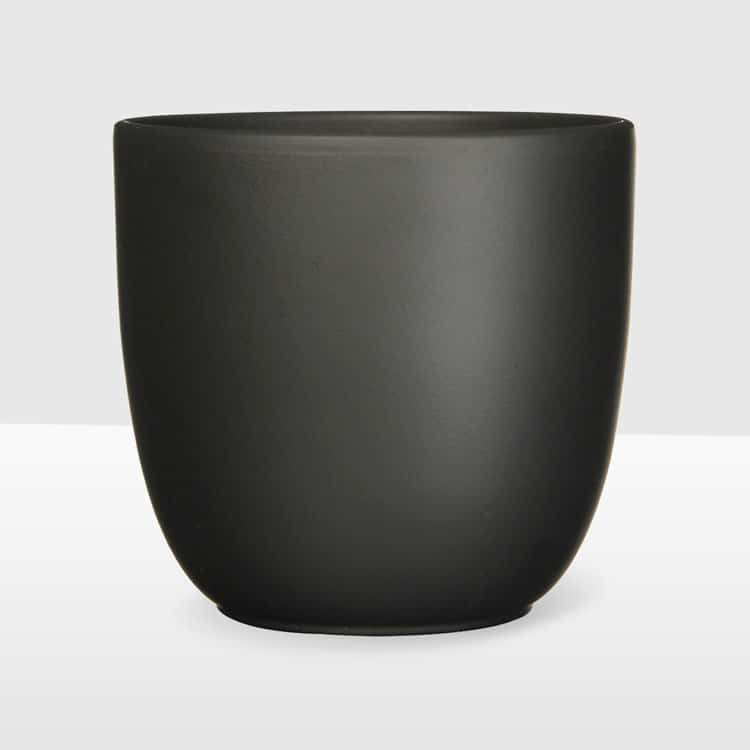 black matte curved ceramic plant pot