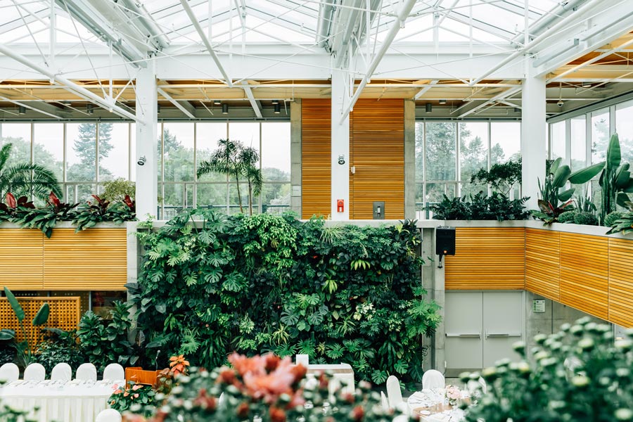 large living wall installation uk