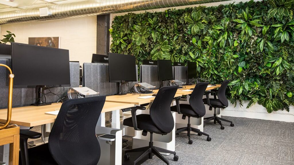 living wall office uk installation green plants