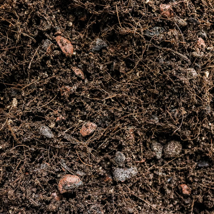 peat free compost buy online uk