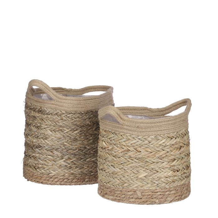 Woven Basket | Oxy-Plants