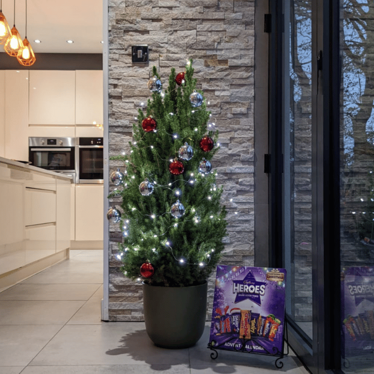 xmas tree 2
