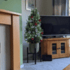 xmas tree 5