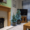 xmas tree 6