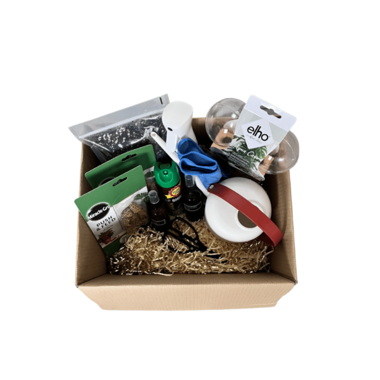 large plant care gift set